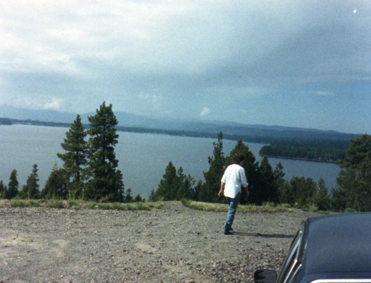 Image 88